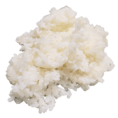 음식 : 흰 쌀 #12