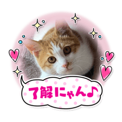 fuwa_20240109134406