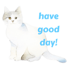 Have a Good day cat