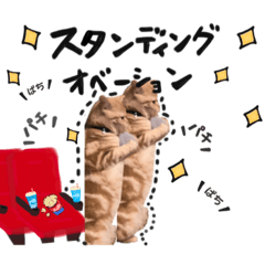 きまぐれきなこ♂のきもちスタンプ⑦日常
