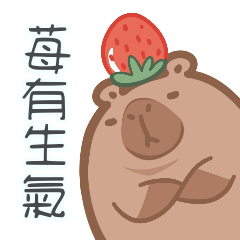 Capybarbara - strawberry flavor