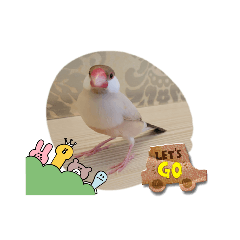 咪咪＆哥哥＆妹妹