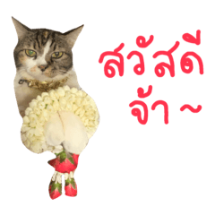 Yatawee_20240109221737