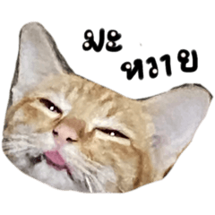 OMG_20240110083536
