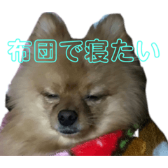 yuri_20240109205551