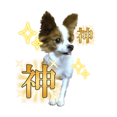 普段使用スタンプカリン版