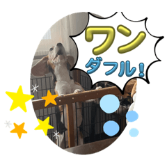 sakura_20240109235345