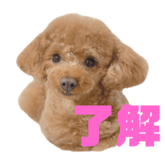 nao_20240109190725