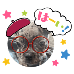 rio_20240109233410 – Stickers LINE | LINE STORE