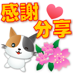 Cute Calico cat -  happy and practical