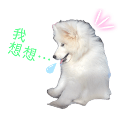 Yudo2