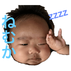 TSUBAKI_20240110192956