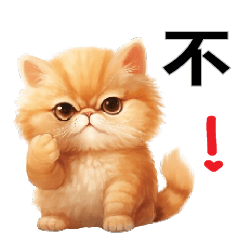 แมวส้ม คำจีน
