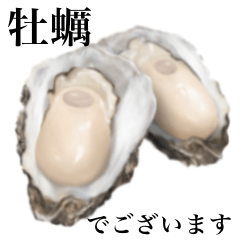 oyster 2