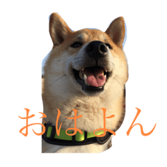 KANA_20240110211114
