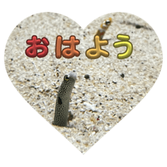 aozora_20240110214052