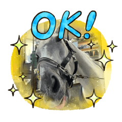 sakura_20240111093544