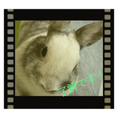 yokko_20240110230130