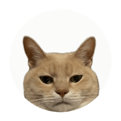 CHERIO_20240110230259