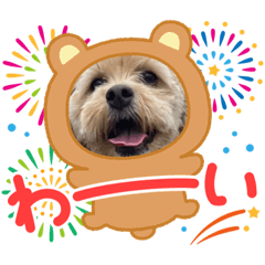 kawamu_20240111021859