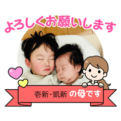 Sakura_20240110224812