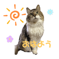 Sunny_20240111140736