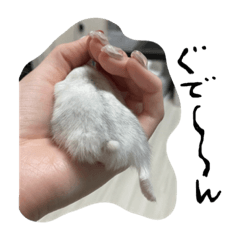 MAYA_20240111080030