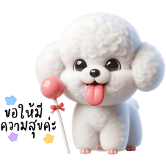White Poodle Dog Kiromi