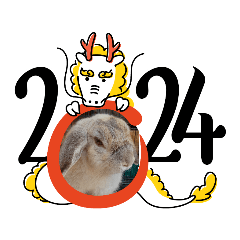 Rabbit_20240111153729