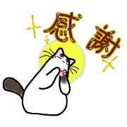 Happy-come-come<All year round 2>