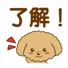 toy_poodle_mugi