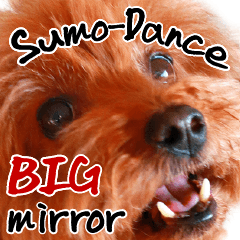 Sumo-Dance BIG mirror - Sumomo's Sticker