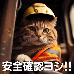 On-site Cat - Construction