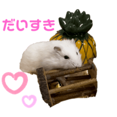 mochimari_20240111220224