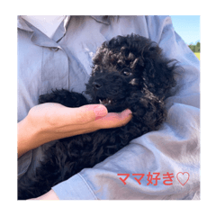 choc_20240111210517