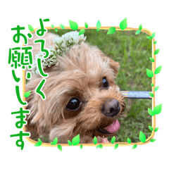 Natsuki_20240111225059