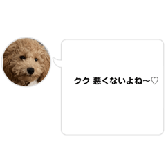 TON_20240111212851
