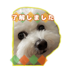 genmai_20240103215515
