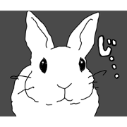 matutakebokujo_20240111221220