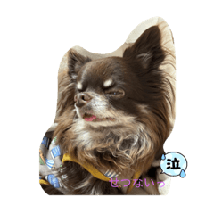 Chocolat mama_20240112122309