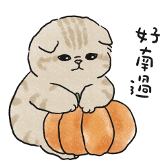 Oba cat17 - cream ginger cat