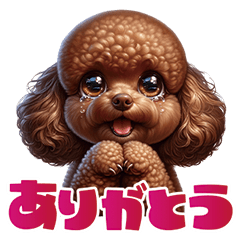 Toy Poodle Doggy Life