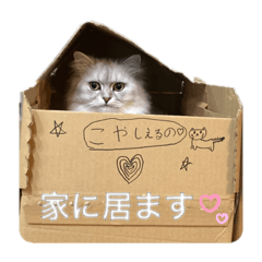yuka_20240111235308