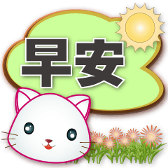 white cat-daily practical Speech balloon