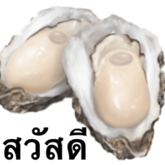 oyster 4
