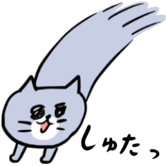 Gray Cat Meow Meow Lives in the Present