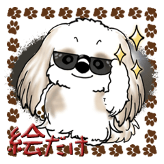 Shih Tzu (long hair) Just a picture