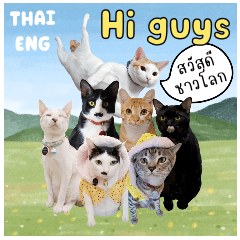 Miso The Cat Gang Family English - Thai