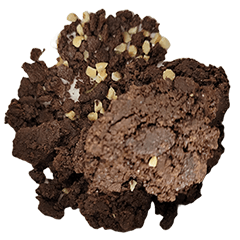 Food Series : Chocolate Shortbread #3