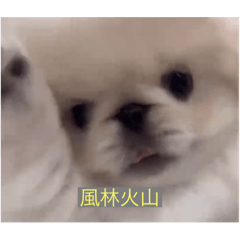 Karaage Tabeyotto_20240112173328